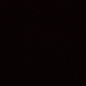 Meet your Posher, Leila